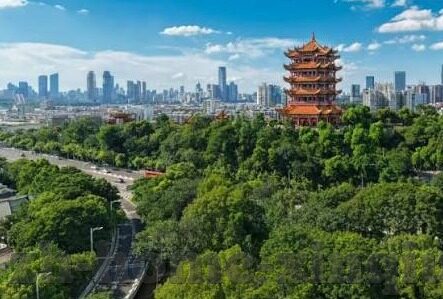 足球比分球迷网-足球比分球迷网，连接绿茵激情的数字桥梁